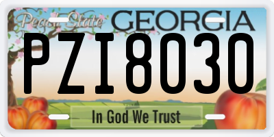 GA license plate PZI8030
