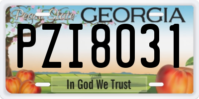 GA license plate PZI8031