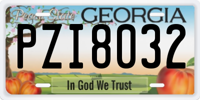GA license plate PZI8032