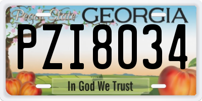 GA license plate PZI8034