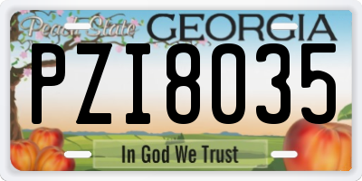 GA license plate PZI8035