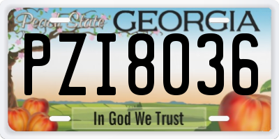 GA license plate PZI8036