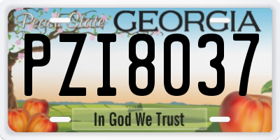GA license plate PZI8037