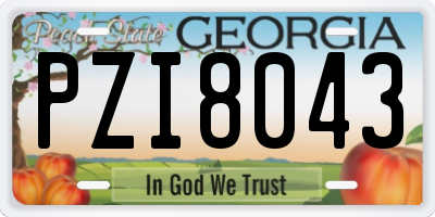 GA license plate PZI8043