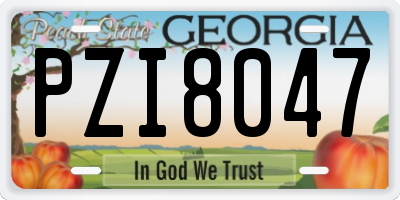 GA license plate PZI8047