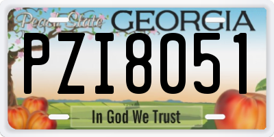 GA license plate PZI8051