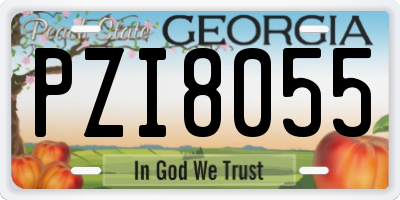GA license plate PZI8055