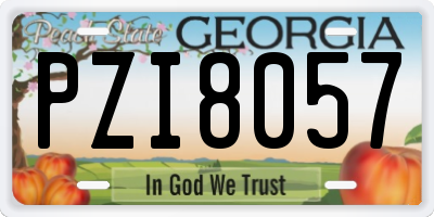 GA license plate PZI8057