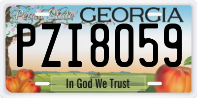 GA license plate PZI8059