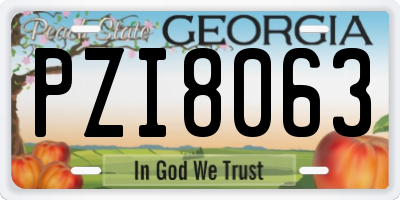GA license plate PZI8063