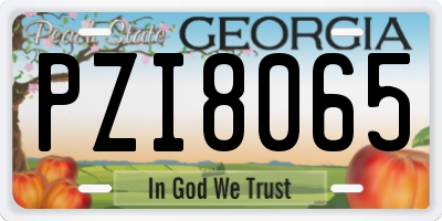 GA license plate PZI8065