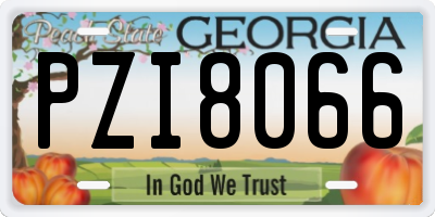 GA license plate PZI8066
