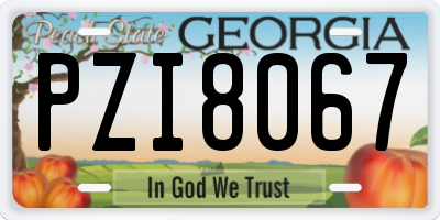 GA license plate PZI8067