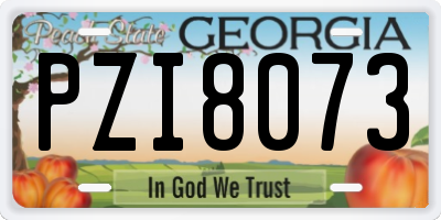 GA license plate PZI8073