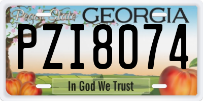 GA license plate PZI8074