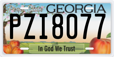 GA license plate PZI8077