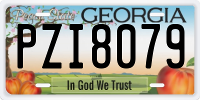 GA license plate PZI8079
