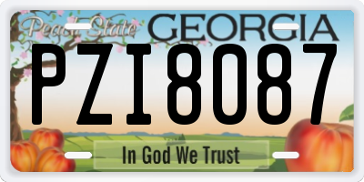 GA license plate PZI8087