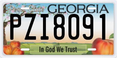 GA license plate PZI8091