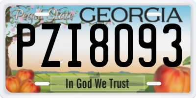 GA license plate PZI8093
