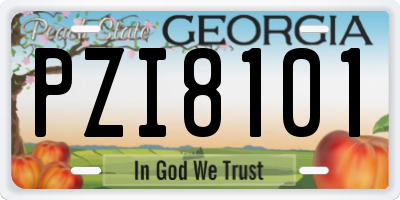 GA license plate PZI8101