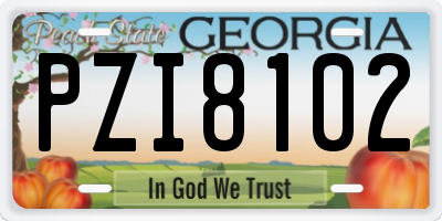 GA license plate PZI8102