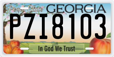 GA license plate PZI8103