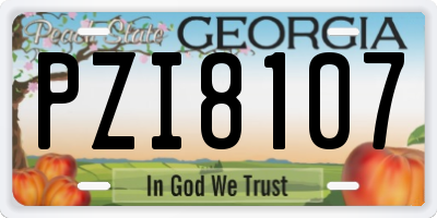 GA license plate PZI8107