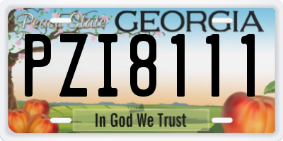 GA license plate PZI8111