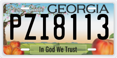 GA license plate PZI8113