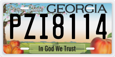 GA license plate PZI8114