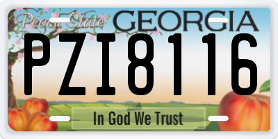 GA license plate PZI8116