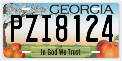 GA license plate PZI8124