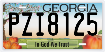 GA license plate PZI8125