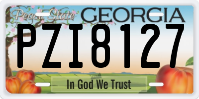 GA license plate PZI8127