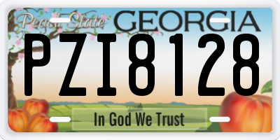 GA license plate PZI8128