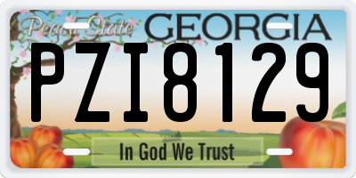 GA license plate PZI8129