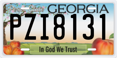 GA license plate PZI8131