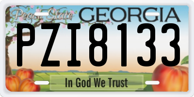 GA license plate PZI8133
