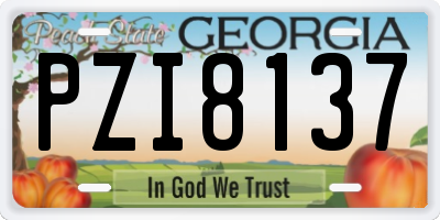 GA license plate PZI8137