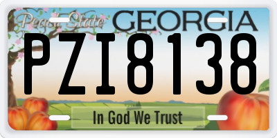 GA license plate PZI8138