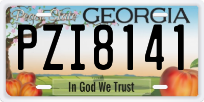 GA license plate PZI8141