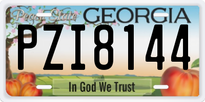 GA license plate PZI8144