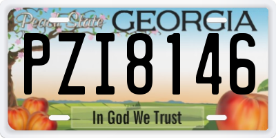 GA license plate PZI8146