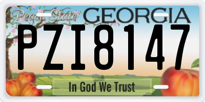 GA license plate PZI8147