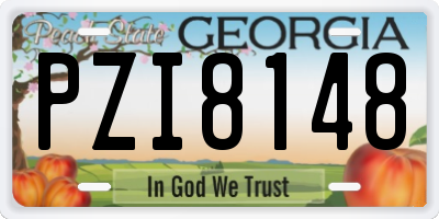 GA license plate PZI8148