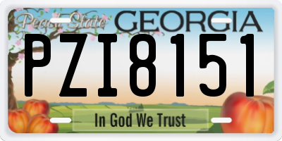 GA license plate PZI8151