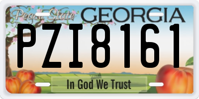 GA license plate PZI8161