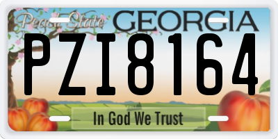 GA license plate PZI8164