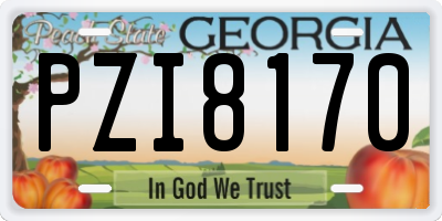 GA license plate PZI8170